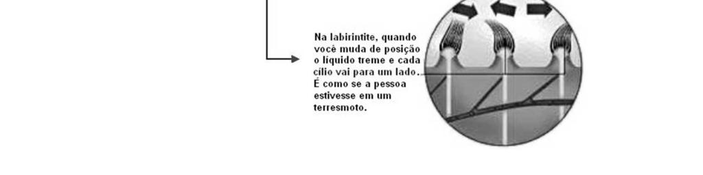 Cerca de 85% das vestibulopatias são de origem periférica. Vestibulopatias centrais são as que lesam estruturas vestibulares no sistema nervoso central.