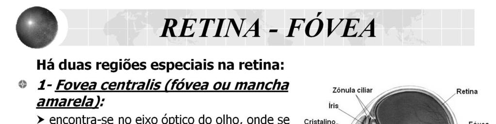 A acuidade visual é a capacidade