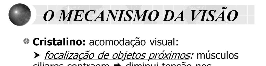 O cristalino é sustentado por ligamentos que se unem aos músculos ciliares, os quais se conectam à esclera e formam um anel dentro do olho.