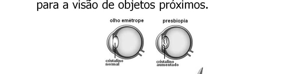 Este crescimento progressivo faz com que ele