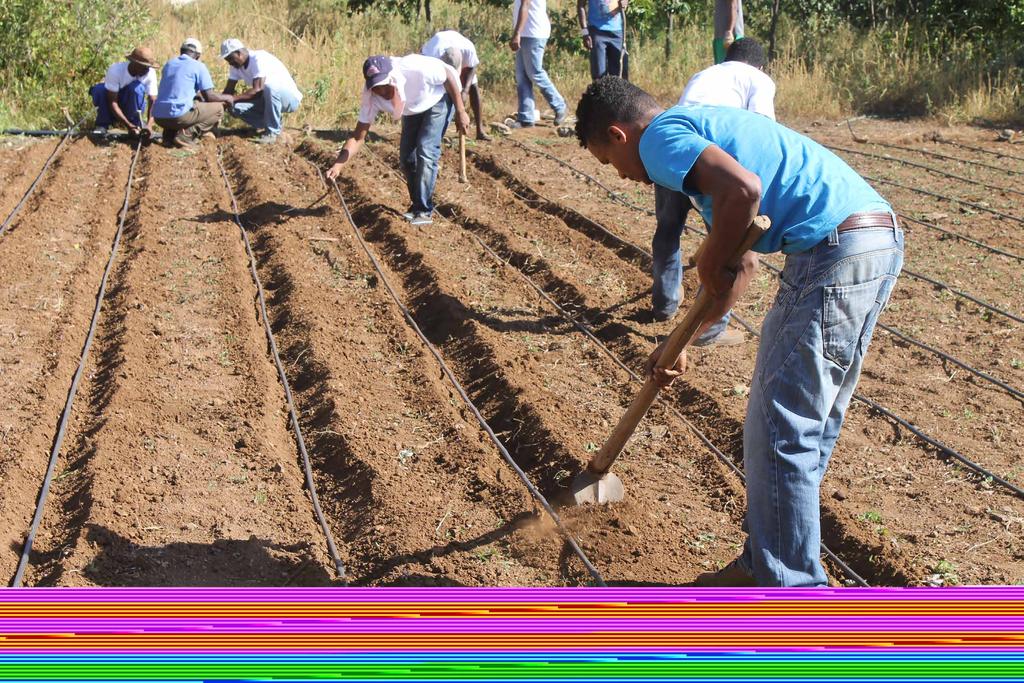 Participantes, organizadores e patrocinadores Participantes: O público-alvo do Primeiro Fórum Internacional do WASAG sobre Escassez de Água na Agricultura são especialistas e tomadores de decisão nos