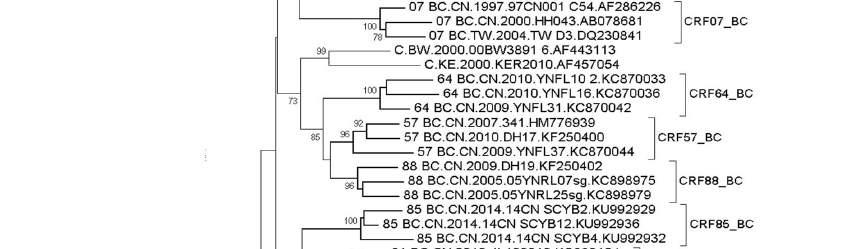 Figure 2: Phylogenetic tree of partial of the pol gene sequences among BC, BFC and CF recombinant HIV-1 isolates from Central West, North and Northeast Brazil.
