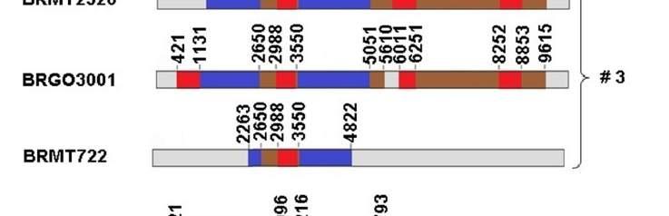 partial genome sequences and