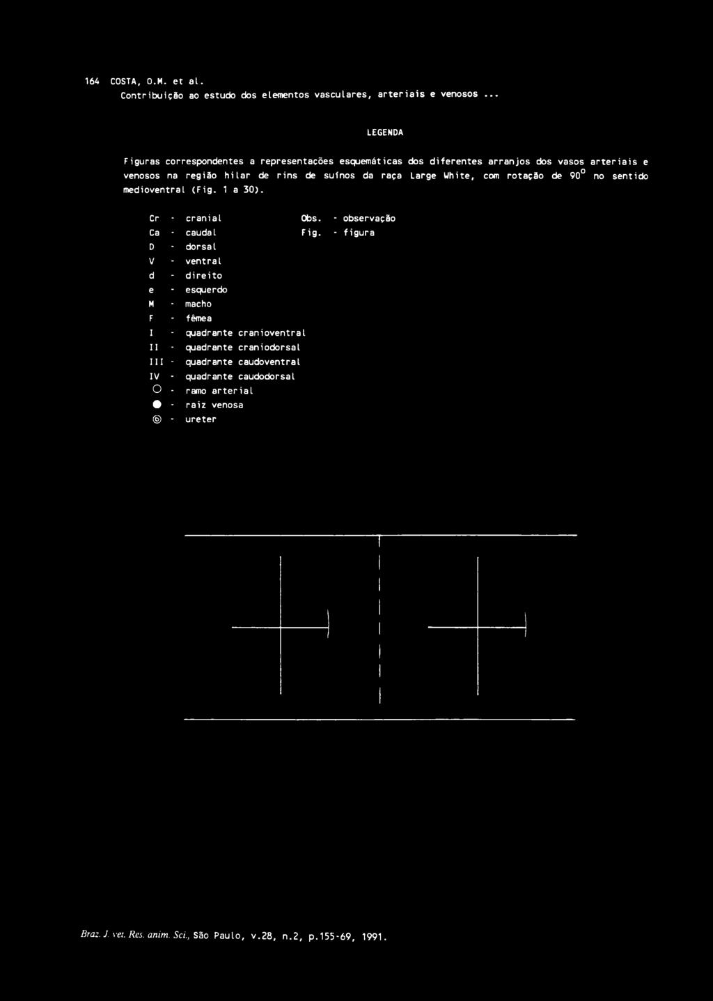 White, com rotação de 90 no sentido medioventral (Fig. 1 a 30). Cr - cranial Obs. - observação Ca - caudal Fig.