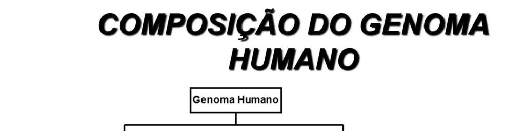 Pseudogenes: já tiveram função de genes e, por mutação, perderam a função no processo