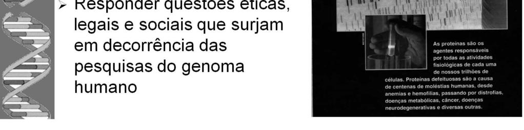 2/3 de todos os SNPs. -Transversão: substituição entre uma purina e uma pirimidina.