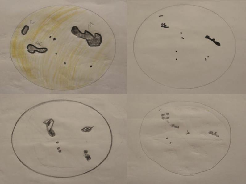 Figura 54 - Representação do desenho de Galileu sobre o Sol feito pelos alunos No 6 encontro a tarefa consistia em observação dos arredores da escola e os alunos