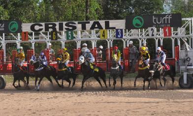 .. CLÁSSICO HIPER GÊNIO 1600m - Areia - Produtos de 3 e mais anos - 1'47"900 1-BEACH DANCE, f, 5, Northern Afleet e Square Dance, por Wild Event