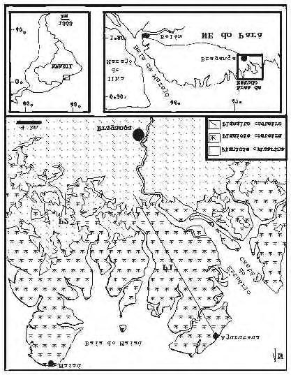 ... de $ Hat a j ó '. ( y vy^ hrflft âe i m *9 A A Í*^Beié,n HE do Pará Figura 1 - Mapa de localização da planície Costeira Bragantina.