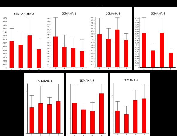 56 Figura 8 - Gráficos de barras ilustrando a variação de hemólise (%) nos grupos durante as semansa de estocagem. Fonte: (MOROZ, 2015). Legenda eixo x: A G1; B G2; C G3;