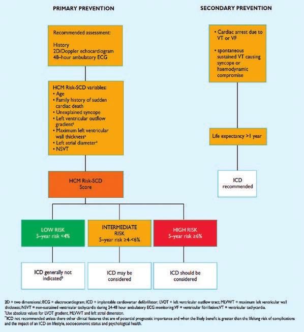 Evidências Científicas Figura 3: Critério da Sociedade Européia de Cardiologia para estratificação de risco de morte súbita na MCH.