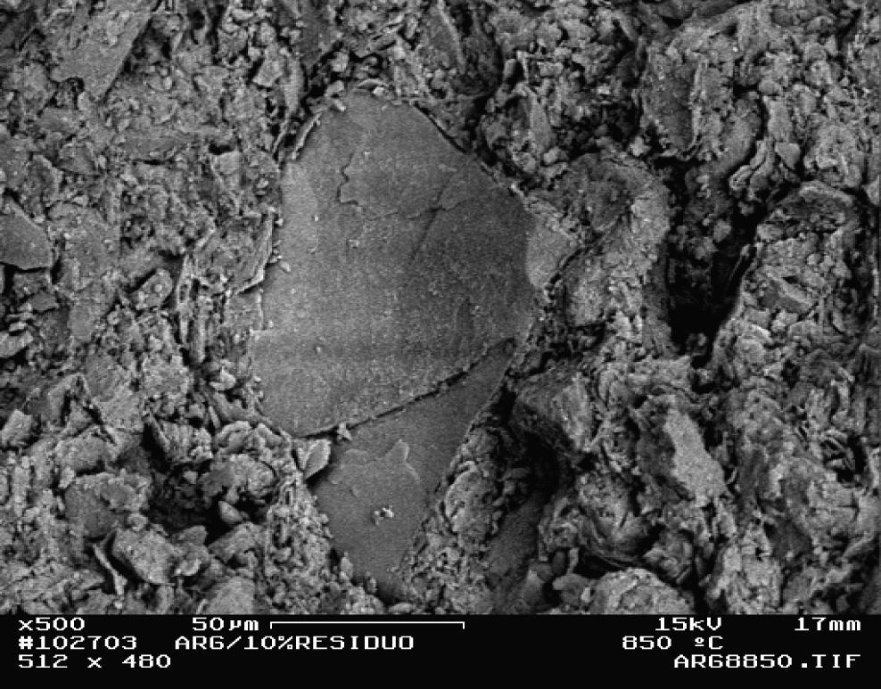 [Figure 9: Fracture surfaces observed via SEM of the sample