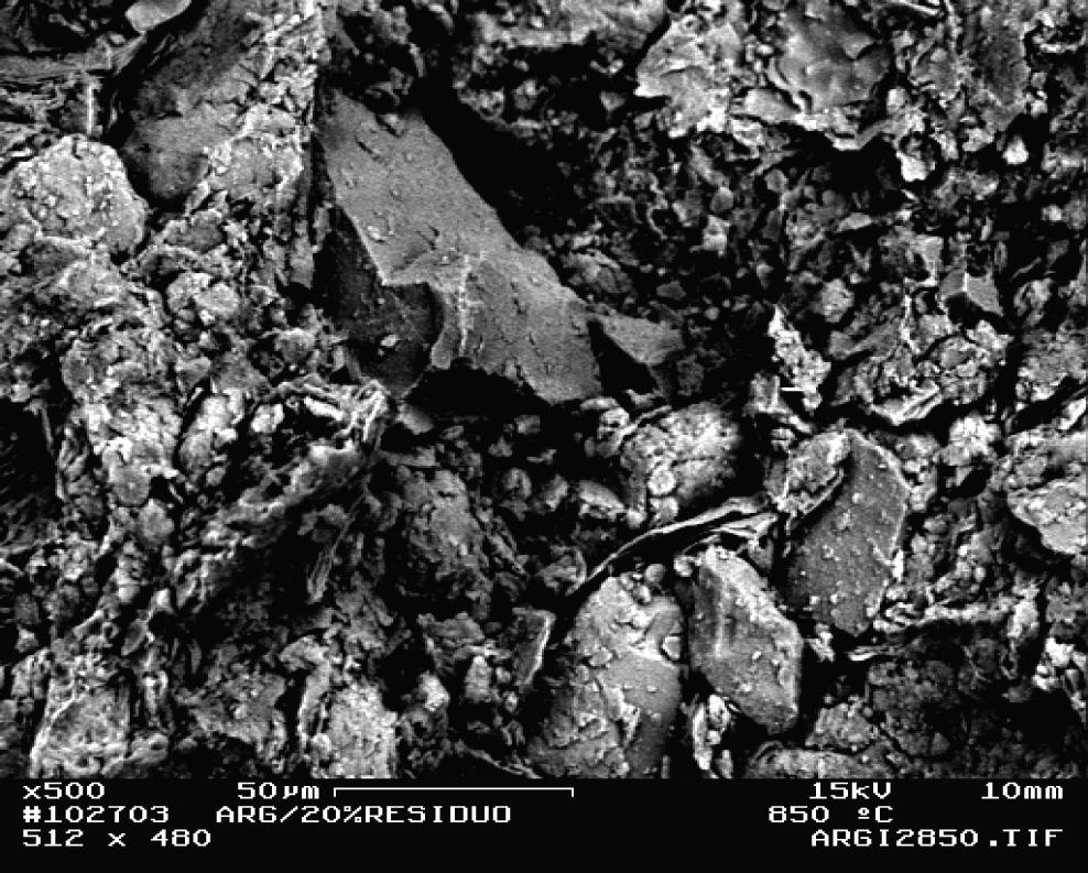Fracture surfaces observed via SEM of the sample NH10 fired