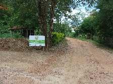 para produção de mudas arbustivas e herbáceas nativas no atrativo turístico Estância Mimosa; Ÿ Confecção de