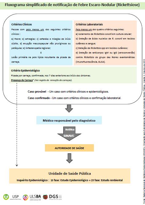 ANEXO XIII FLUXOGRAMA SIMPLIFICADO DE