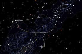 Constelação da Ema Na segunda quinzena de junho, quando a Ema surge totalmente ao anoitecer, no lado