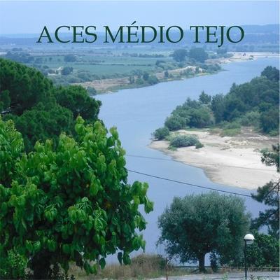 ACES Médio Tejo Gabinete do Cidadão Guia