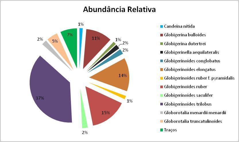 pyramidalis (1,38%), Candeina nitida (1,31%), Globigerina dutertrei (1,26%); e 19 espécies são traços (61,29%) (Figuras 12, 13 e 14) (Tabela VI).
