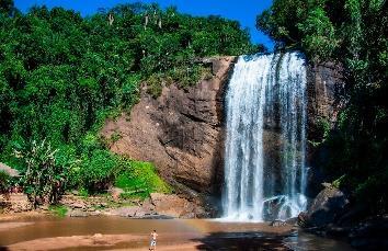 R$40 Feriado São Roque Rota do Vinho + Templo Zulai Kit lanche Aloha na saída; Visitação e