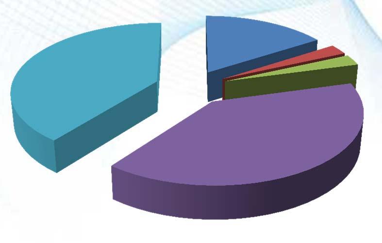 Principais Pressões Alteração do regime hidrológico Captação de água superficial (hm3) Cerca de 91,5 % do volume captado/consumido retorna