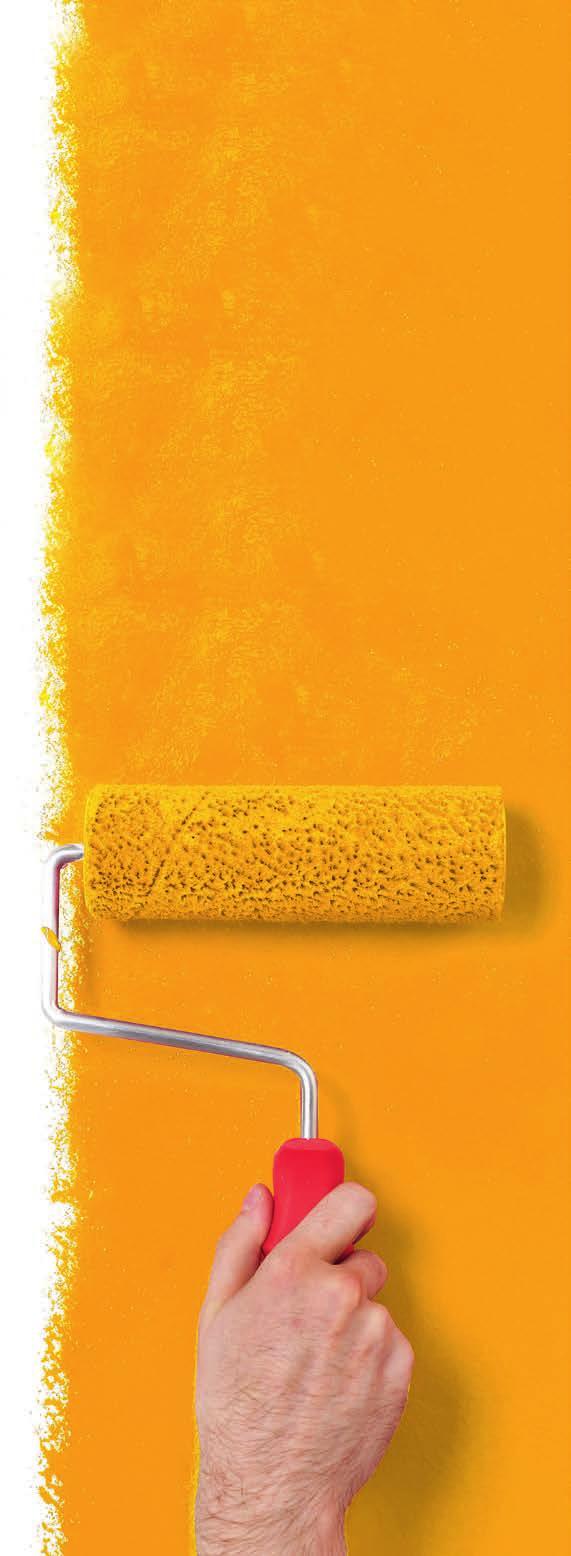 AMARELOS BAYFERROX PIGMENTOS PARA A INDÚSTRIA DE REVESTIMENTOS Os pigmentos amarelos de óxido de ferro são um dos mais importantes pigmentos inorgânicos usados nos sistemas de coloração.