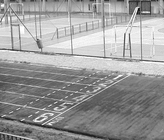 ESTÁDIO DE ATLETISMO PISTA E CAMPO Como podemos notar, cada prova de atletismo acontece em um local específico e possui a sua demarcação.