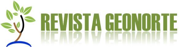 DO BRASIL A PARTIR DO USO DE NOVAS Wilcilene da Silva Corrêa Mestranda pelo Programa de Pós-graduação em Geografia - UFAM Universidade Federal do Amazonas prof.wilcilenecorrea@hotmail.