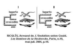 14) (UFBA 2006) A figura esquematiza duas possibilidades de representação de relações evolutivas entre três grupos de organismos.