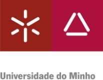 Centro Interdisciplinar de Ciências Sociais Polo da