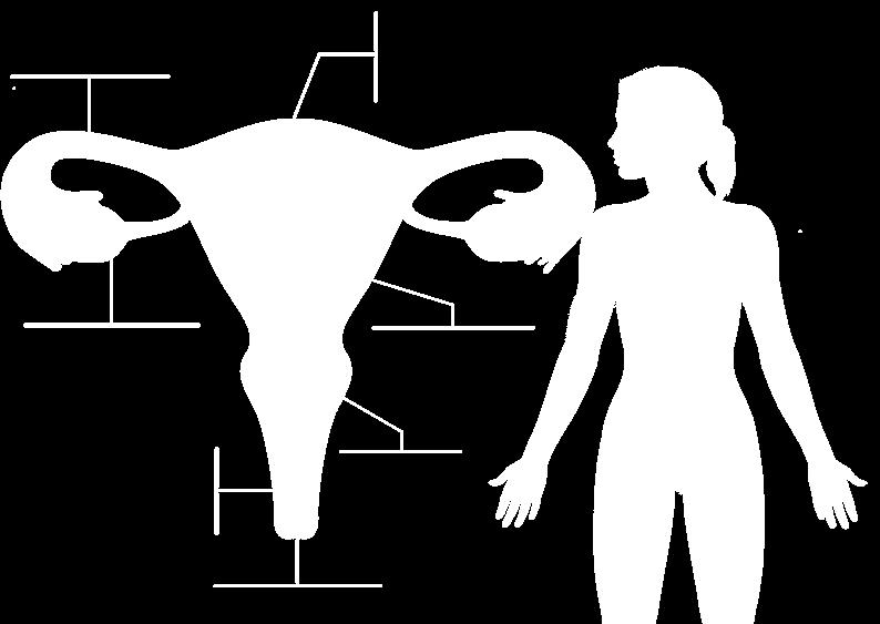 Os órgãos reprodutores femininos Trompas de Falópio Útero Gónadas Ovários Órgãos genitais