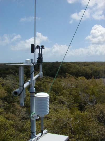 Figura 5 Vista da Estação Meteorológica Automática (EMA) instalada no manguezal natural.