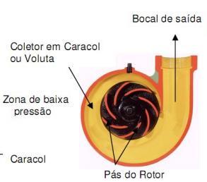 Bombas de escoamento dinâmico Bombas centrífugas ou radiais: o aumento da pressão resulta da força centrífuga aplicada ao líquido por um