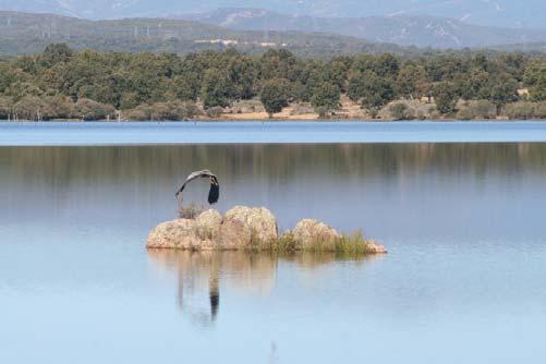 ambiental, social, cultural e económico da paisagem RBMI e das comunidades locais.