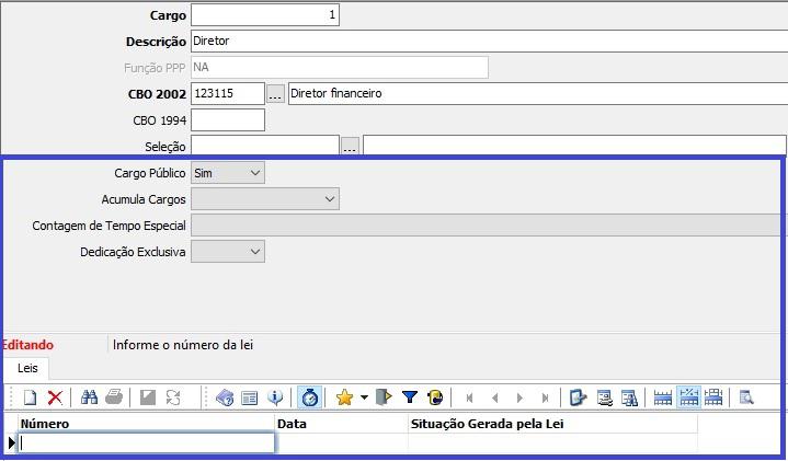 Quanto a opção CARGO PUBLICO = SIM, será necessário o preenchimento dos campos abaixo: CARGO PÚBLICO: Informar se o cargo é público: S Sim; N Não.