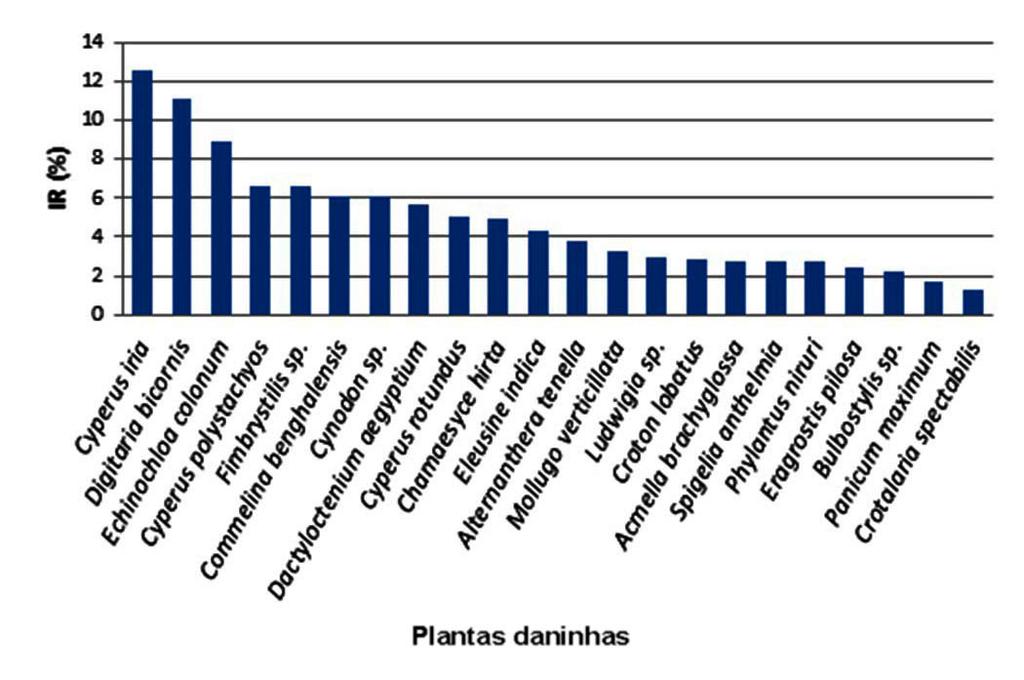 18 Comunidade de Plantas Daninhas e Associação com Insetos em Áreas de Cultivo de