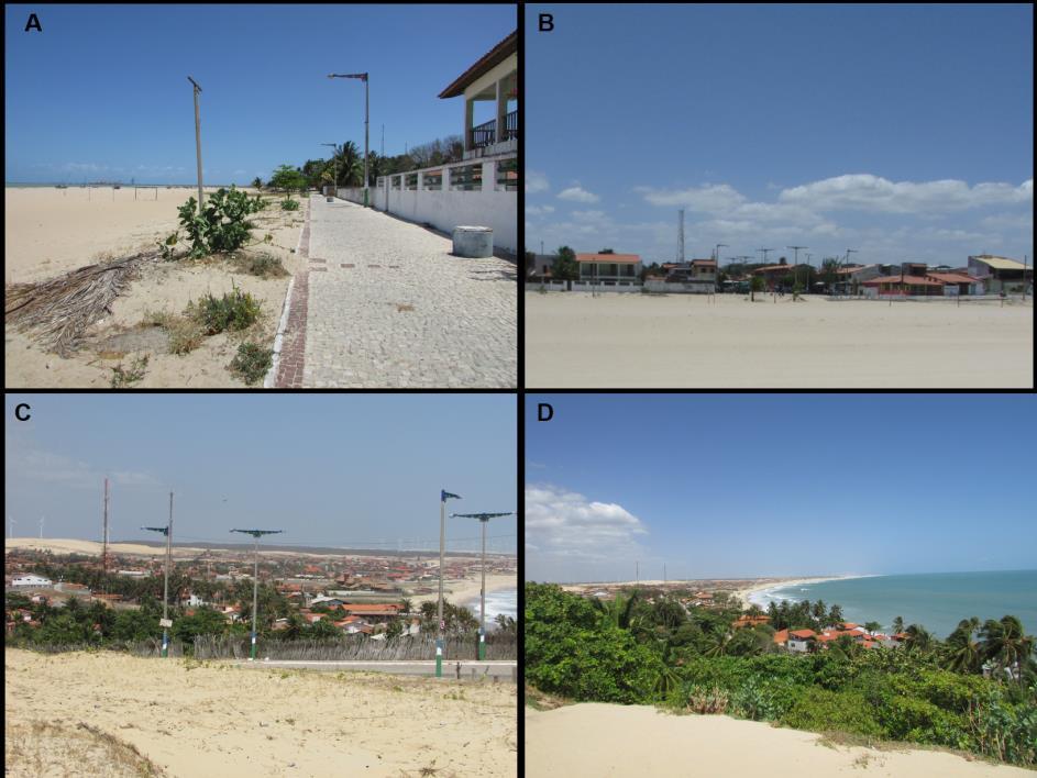 Figura 6. Mosaico de fotografias da Praia do Pecém, na área da Estação Ecológica. Fonte: Portela (2017).