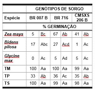 Tabela 1: Quantidade de sorgoleone (SGL) encontrada a partir de análise cromatográfica.