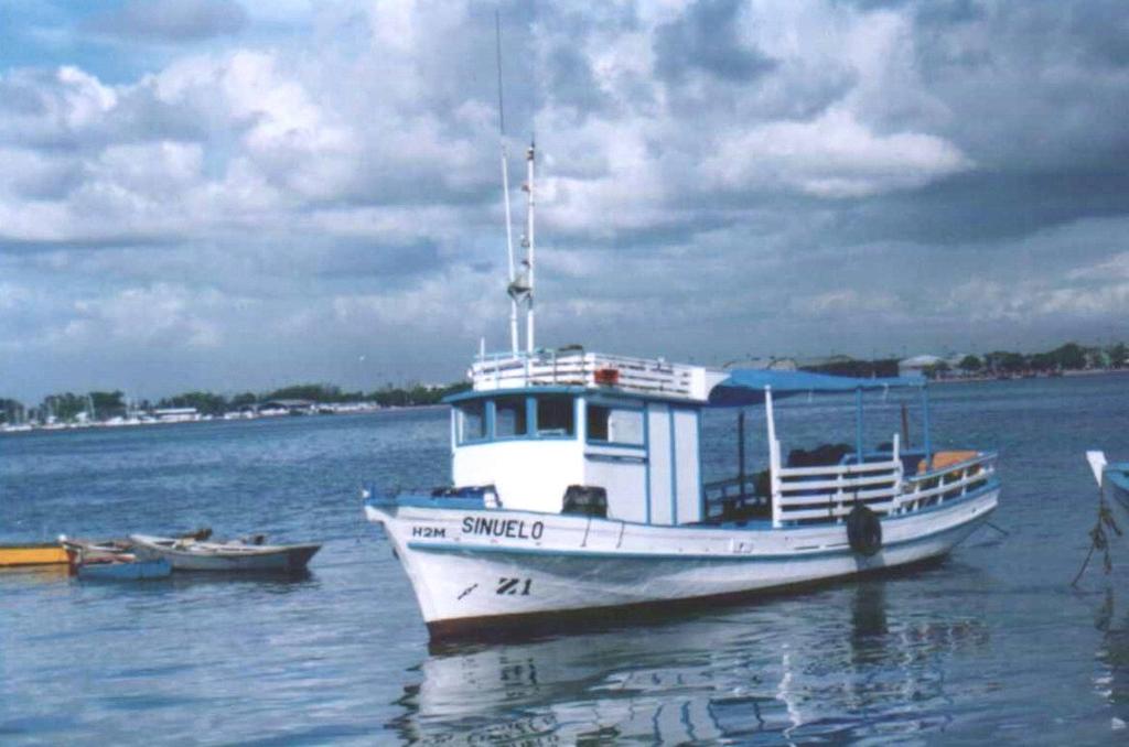 Figura 5. Embarcação B.Pq. Sinuelo utilizada para captura dos exemplares de beijupirá (Rachycentron canadum) (Departamento de Pesca e Aquicultura, UFRPE).