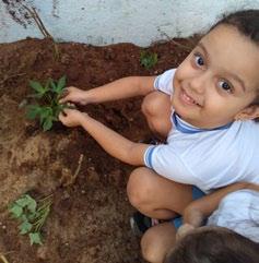 Educação Ambiental Minha História Boas Iniciativas As