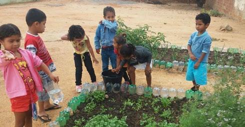 hortas escolares, conferências juvenis sobre meio