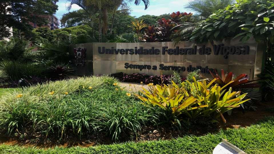 Universidade
