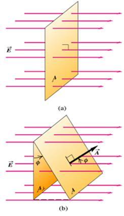 Fluxo do campo elético (a) O fluxo elético atavés da supefície vale Φ = EA. (b) Quando o veto áea foma um ângulo φ com o veto E, a áea pojetada num plano oientado pependicula ao fluxo é: A pep.