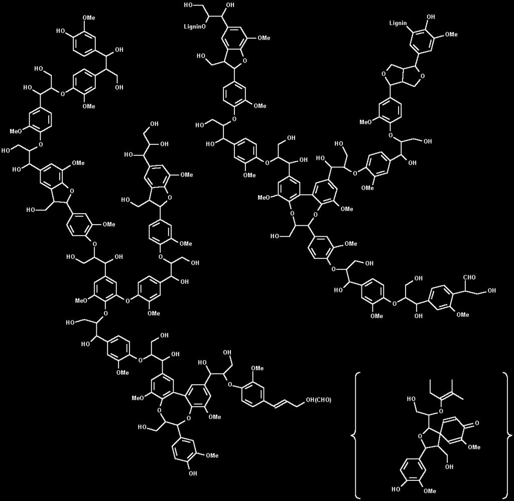32 esses precursores entram na composição da lignina. (FENGEL; WEGENER, 1989). Álcool p-cumarílico Álcool coniferílico Álcool sinapílico Figura 2.