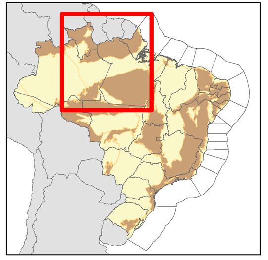 Isorenieratano. INTRODUÇÃO A Bacia do Amazonas possui uma extensão territorial de aproximadamente 500.