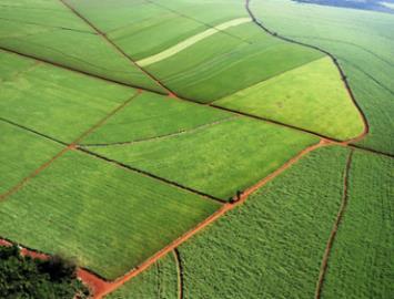 O potencial do Brasil Incidência solar