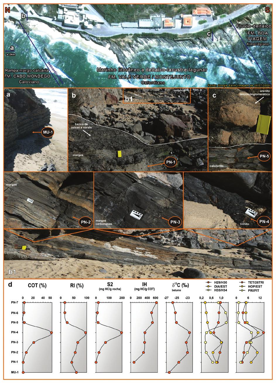 Figura 10 Visão aérea das sequências do Jurássico Médio e Superior na região de Cabo Mondego, setor norte. (a) Depósitos mais profundos de margas cinzentas da Formação Candeeiros.
