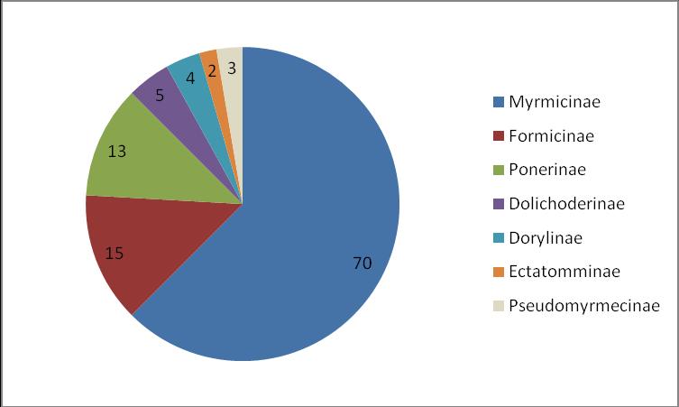 19 Figura 2 - Número de espécies por subfamília. Amostragem pela metodologia pitfall. 3.1.1 Diversidade de formigas por fisionomia Das 112 espécies coletadas nas armadilhas pitfall no presente