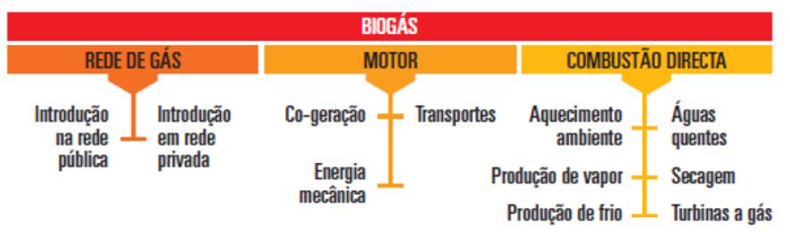 Fonte: Universidade de Aveiro Figura 44 Principais opções para a utilização/conversão do biogás [20] De acordo com informação do Grupo AdP Águas de Portugal, o aproveitamento do biogás é hoje uma