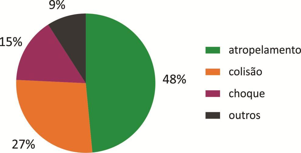 Diagnóstico da Subprefeitura de Cidade Tiradentes 2015 a 2017 Tipos de ocorrências fatais na