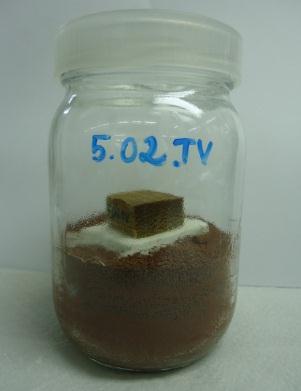 26 homogeneizadas em água deionizada em um liquidificador e 1,5 ml dessa solução foi inoculada sobre a placa suporte de cada frasco de vidro.